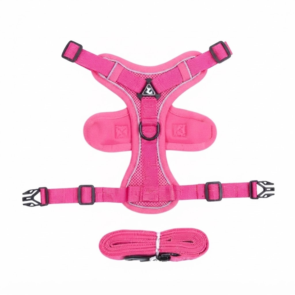 Adjustable Pet Harness with Leash