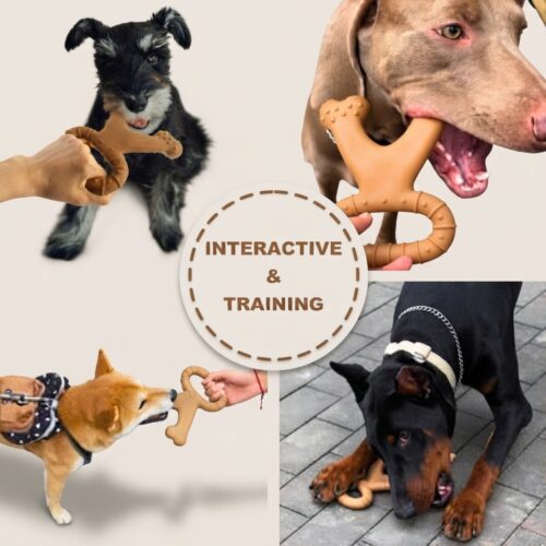 Dog Toy for Training and Cleaning