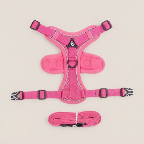 Adjustable Pet Harness with Leash